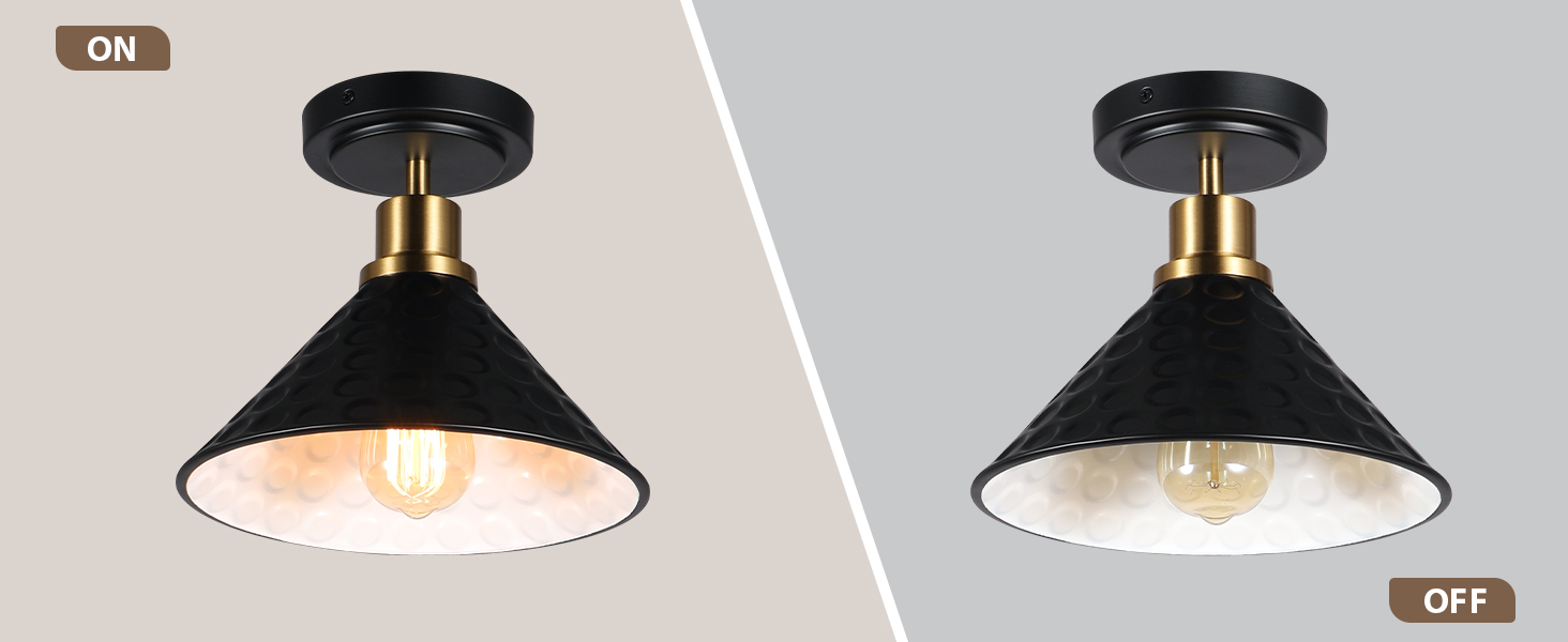 Modern Ceiling Light (5)