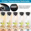 5CCT 3-Light Multi Directional LED Track Light, 3 Head Semi Flush Mount Ceiling Light, 2700/3000/3500/4000/5000K Selectable, 15W Dimmable Black LED Ceiling Spotlight for Kitchen, Hallway