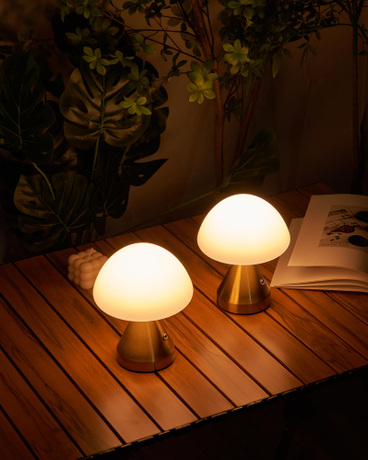 Cordless Small Mushroom Lamp (8).jpg