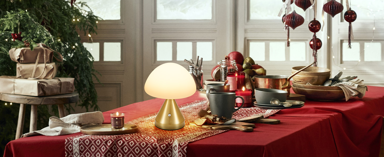 Cordless Small Mushroom Lamp (8)