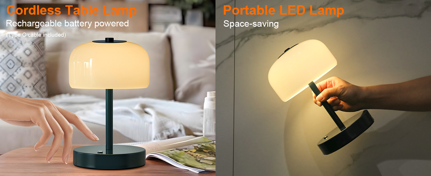 Cordless Table Lamp (4)
