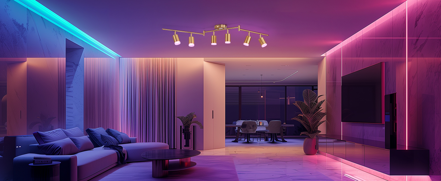 Track Lighting Kit (8)