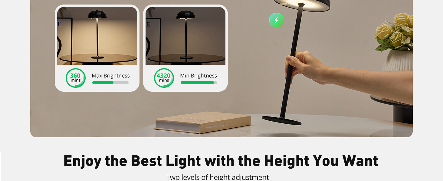 Cordless Table Lamp (3)