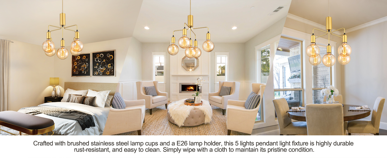 Pendant Light Fixture (1)