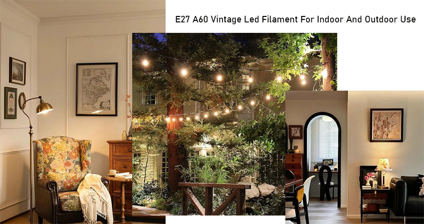 Edison LED Light Bulbs (2)