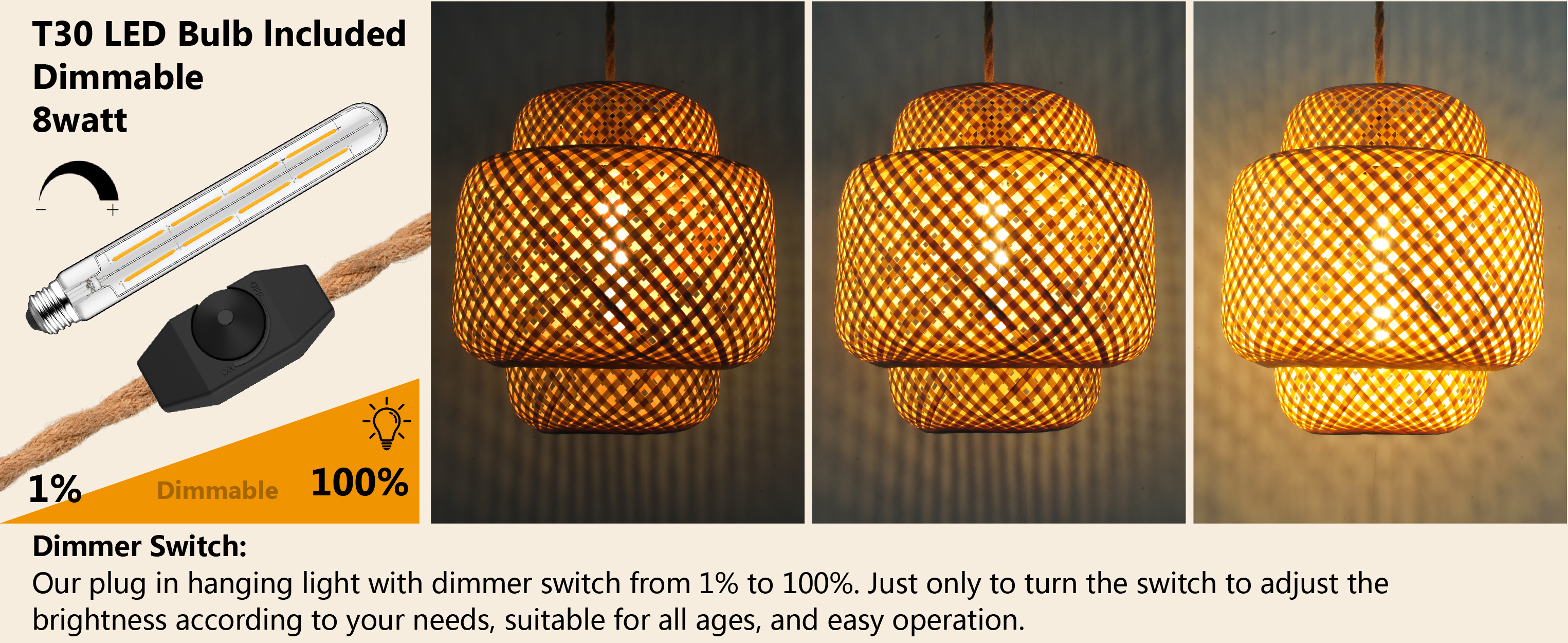 Plug in Pendant Light (8)