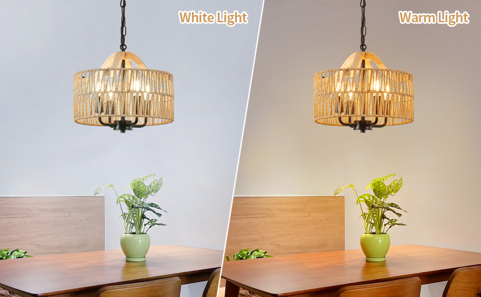 Antique Dining Room Light Fixture (4)