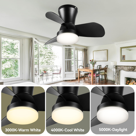 Ceiling Fans with Lights (4).jpg
