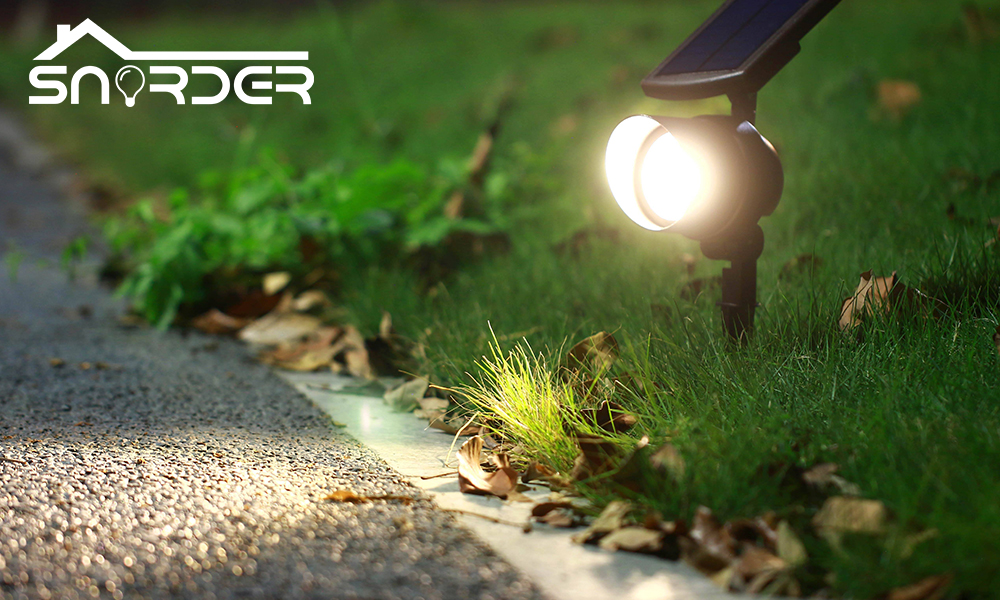 light (4)