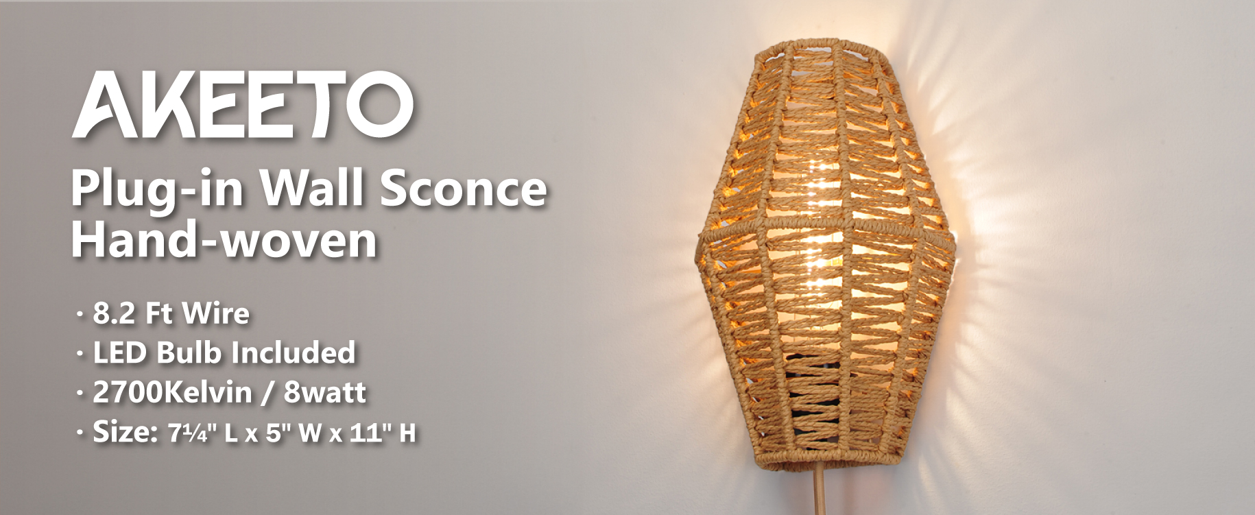 Plug-in Wall Sconce (1)