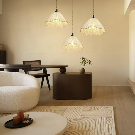 Plug in Pendant Light (6).jpg