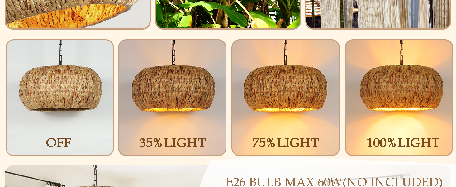 Hand-Woven Boho Pendant Light (4)