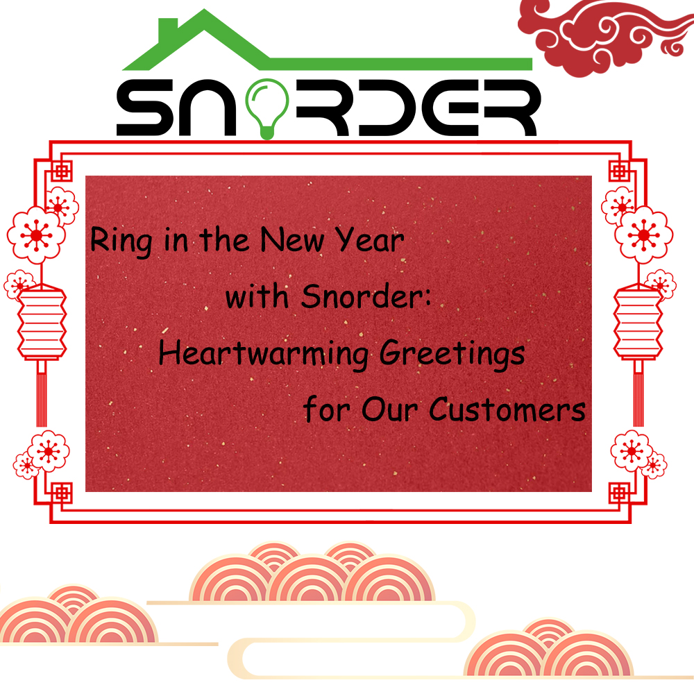 Snorder: New Year's Greetings from Our Team to Yours