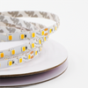 2700K/4000K/RGB Optional Wholesale China Made LED Strip Light 10W Decorative Strip Light IP20 Indoor Lighting