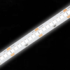 Wholesale 19W High Efficiency Hot Strip Light 2835SMD Waterproof & Dustproof Decorative Lighting 2700K/4000K Optional 140-165lm/w