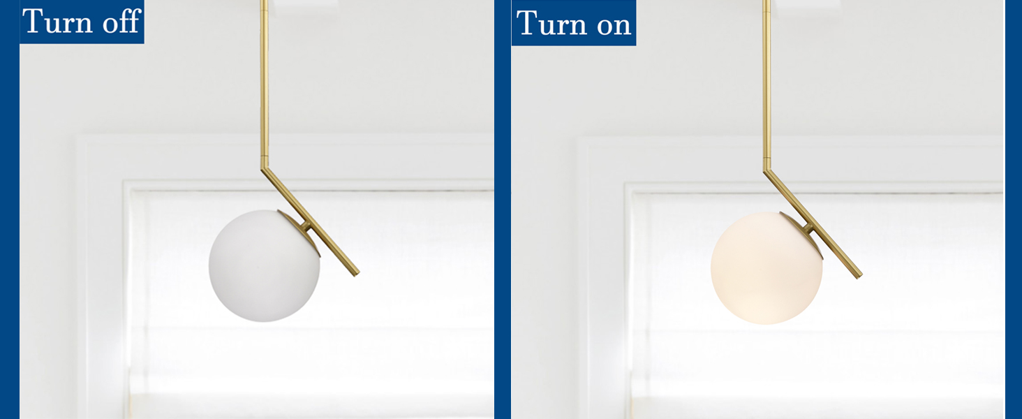 Globe Pendant Lighting (2)