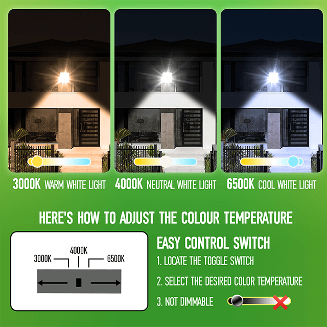 30W LED Floodlights 3CCT (3000K-4000K-6500K) 108 PT02
