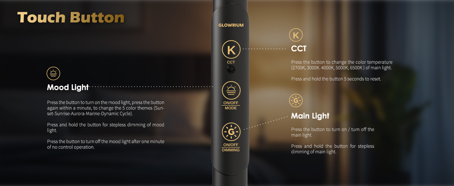 Reading Floor Lamp (16)