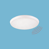 Detection Range 180°/360º Optional Ceiling Mounted Hot Sale Modern Microwave Sensor Light IP65/IK10 Waterproof Explosion-proof Lighting Brightness CCT Adjustable
