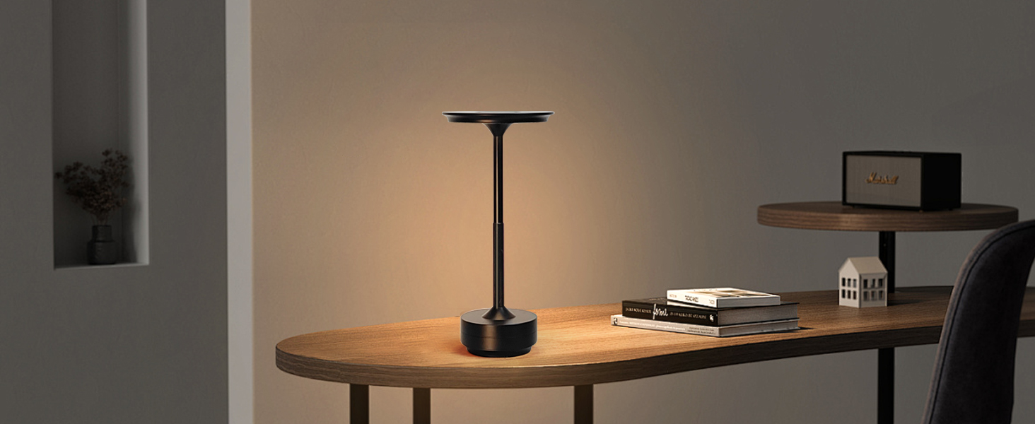Table Lamps (3)