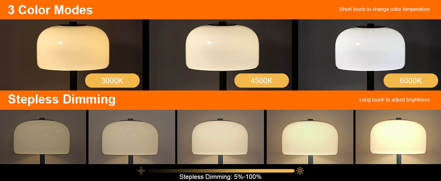 Cordless Table Lamp (5)