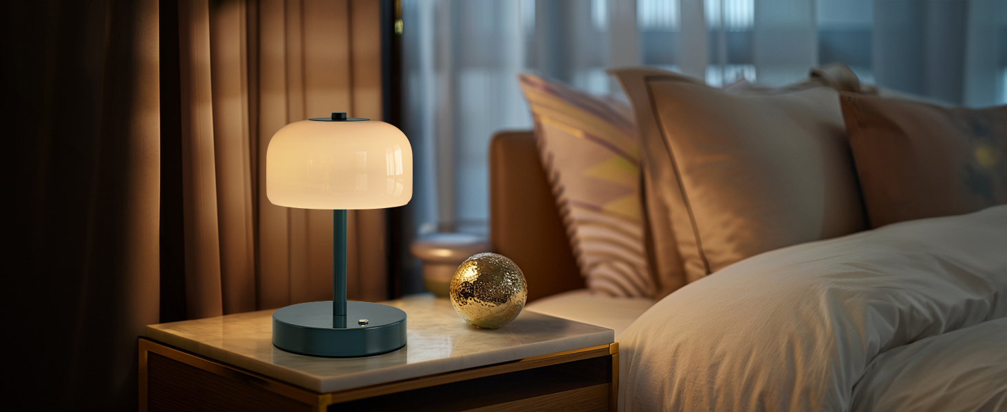Cordless Table Lamp (10)