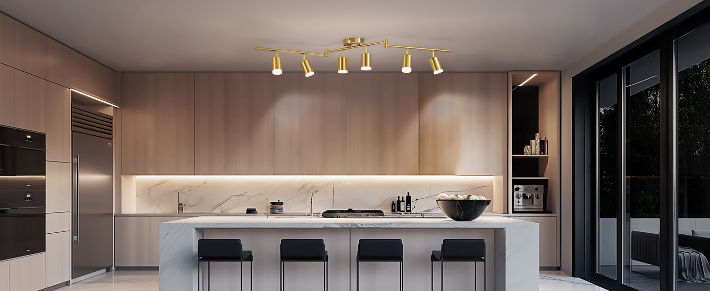 Track Lighting Kit (6)
