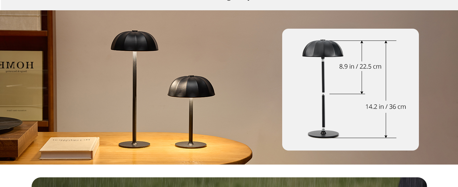 Cordless Table Lamp (4)