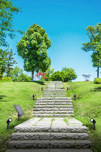 LED Solar Lighting