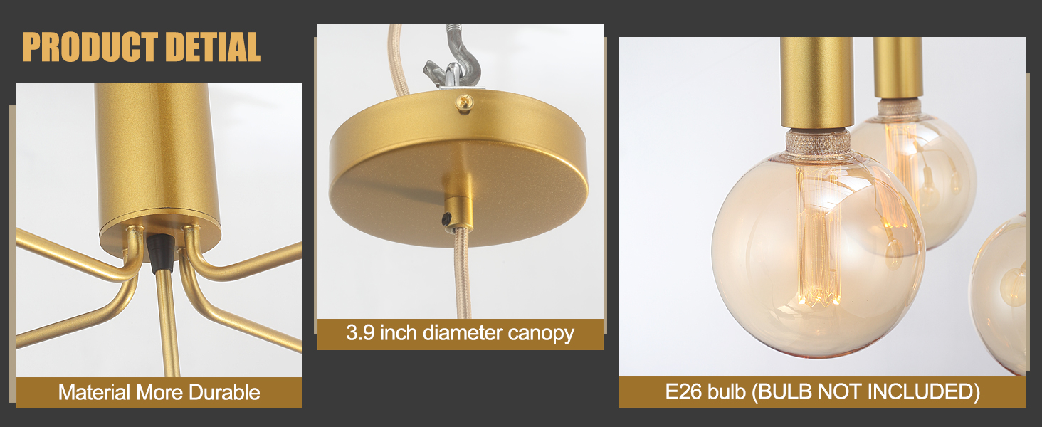 Pendant Light Fixture (2)