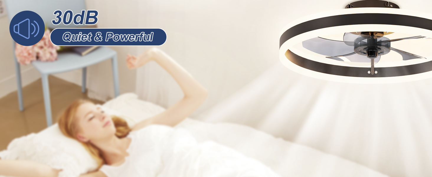 Low Profile Ceiling Fans with Lights (12)
