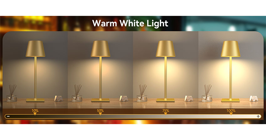 Cordless Table Lamp (4)