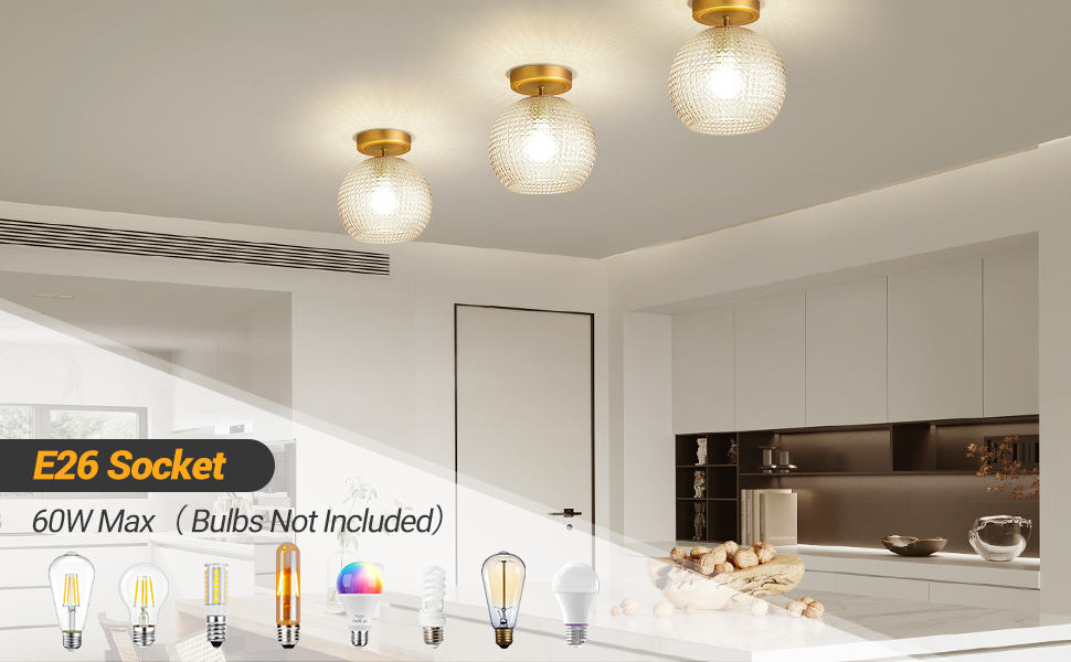 Semi Flush Mount Ceiling Light Fixture (2)