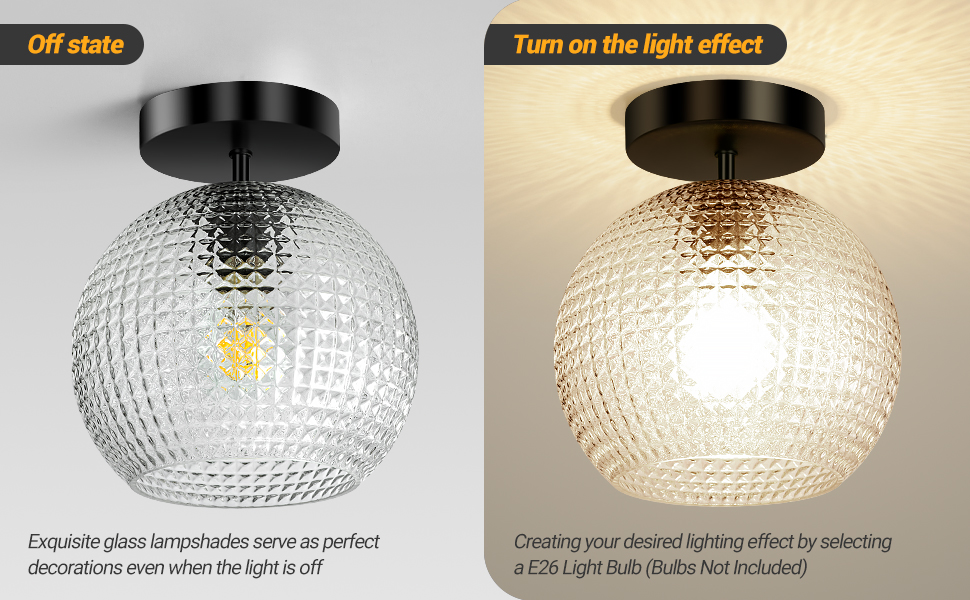 Semi Flush Mount Ceiling Light Fixture (3)