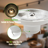 LED Bulb AR111 G53 12W AC/DC 12V LED Spotlight Not Dimmable Warm White 3000K 45 Degree Beam Angle