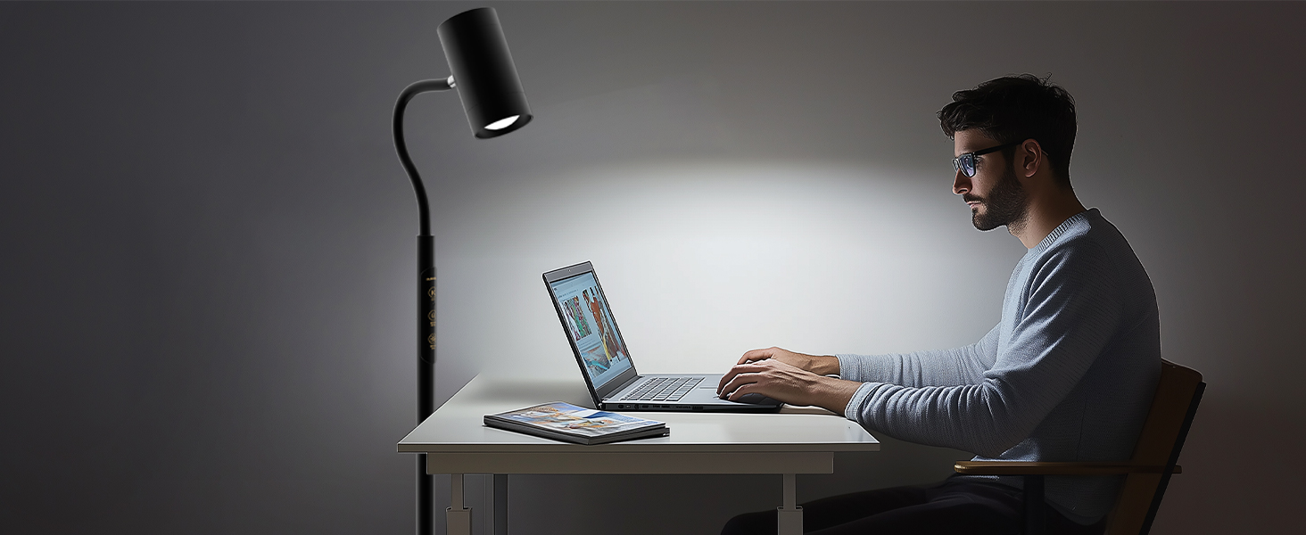 Reading Floor Lamp (5)