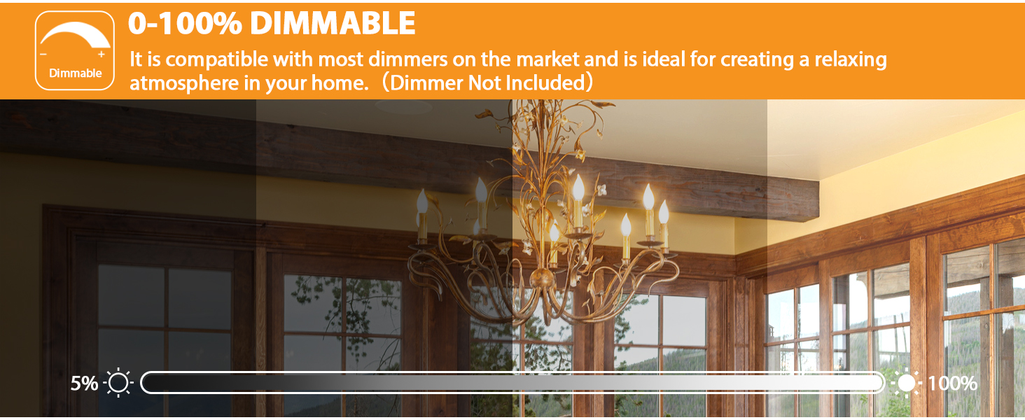 Candelabra LED Light Bulbs (6)