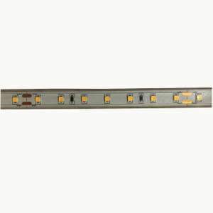12W 24V Ip-65 Warranty 3 Years Made In China Outdoor Led Strip Lights Waterproof Decoration