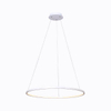 D600Mm 24W 4000K Matt White Metal+Aluminum+Slica Gel Made In China Hanging Lamp Lighting Led Decorative Chandelier Interior