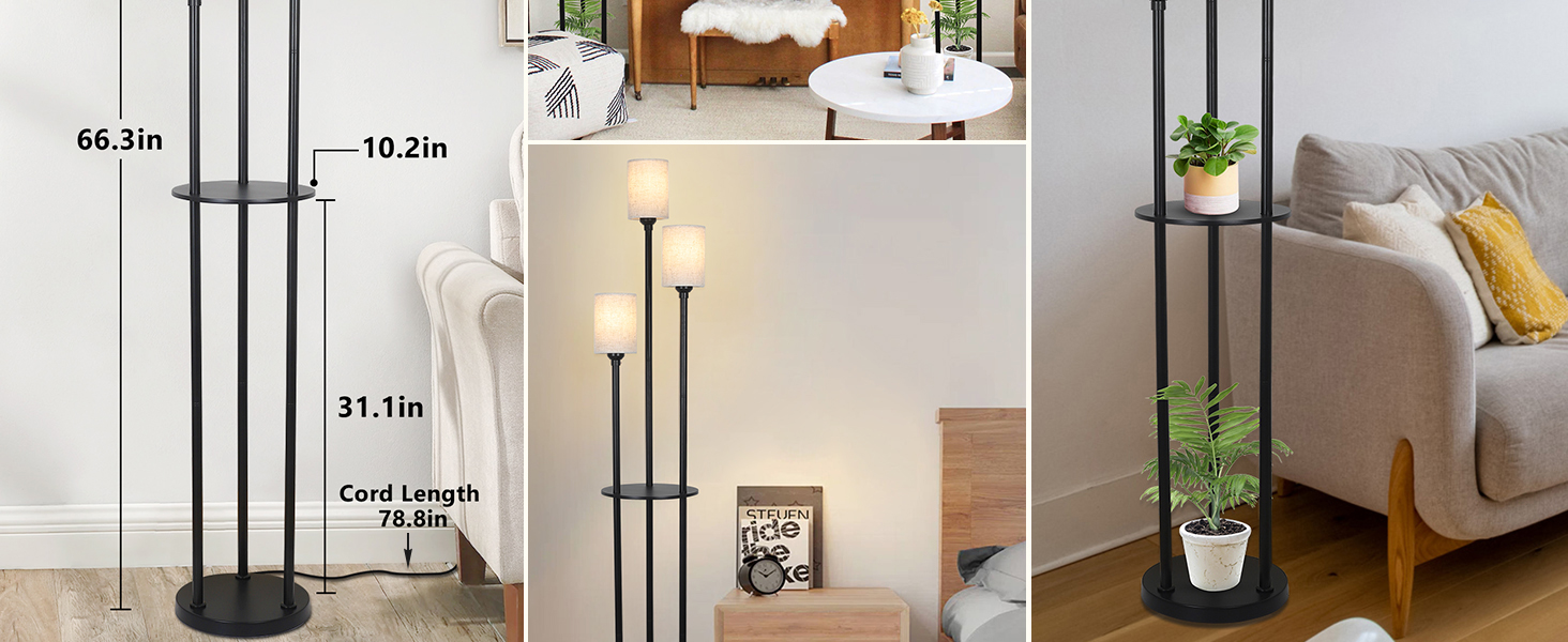 Floor Lamp with Shelves (7)