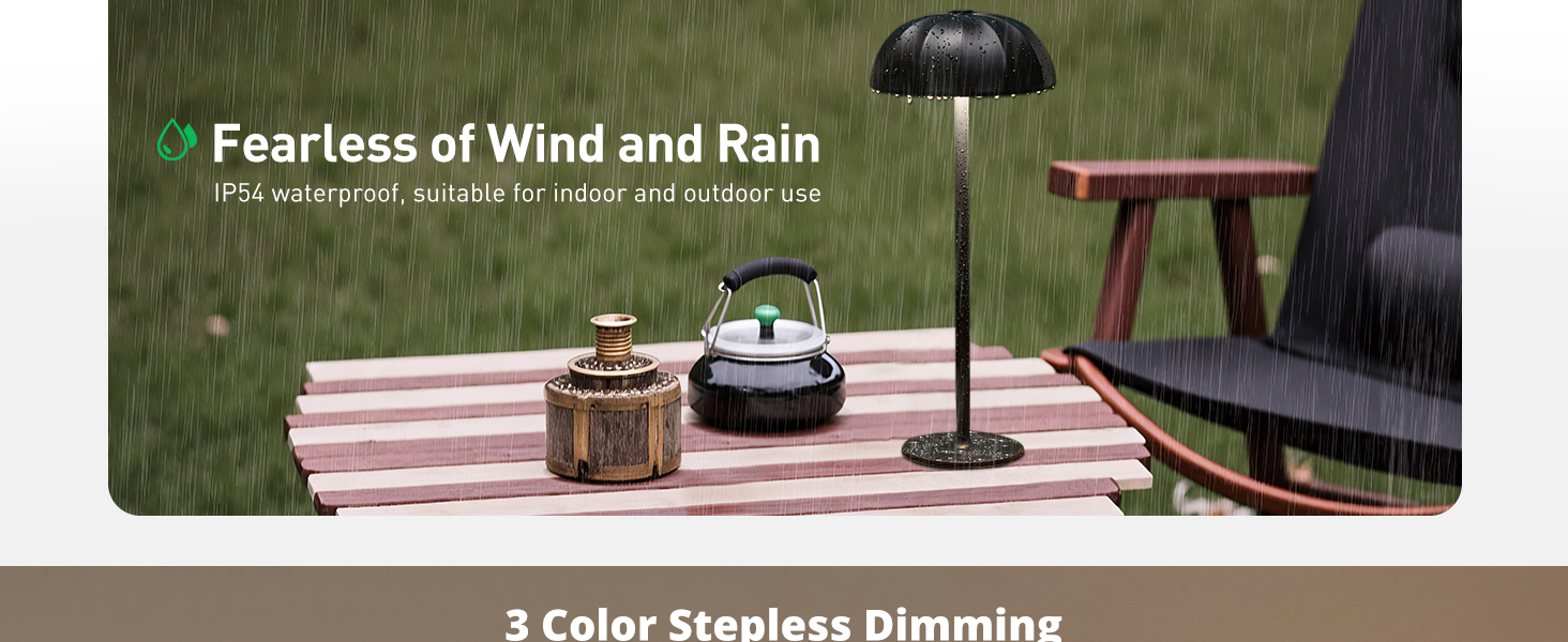 Cordless Table Lamp (5)