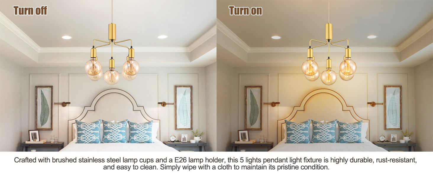 Pendant Light Fixture (3)