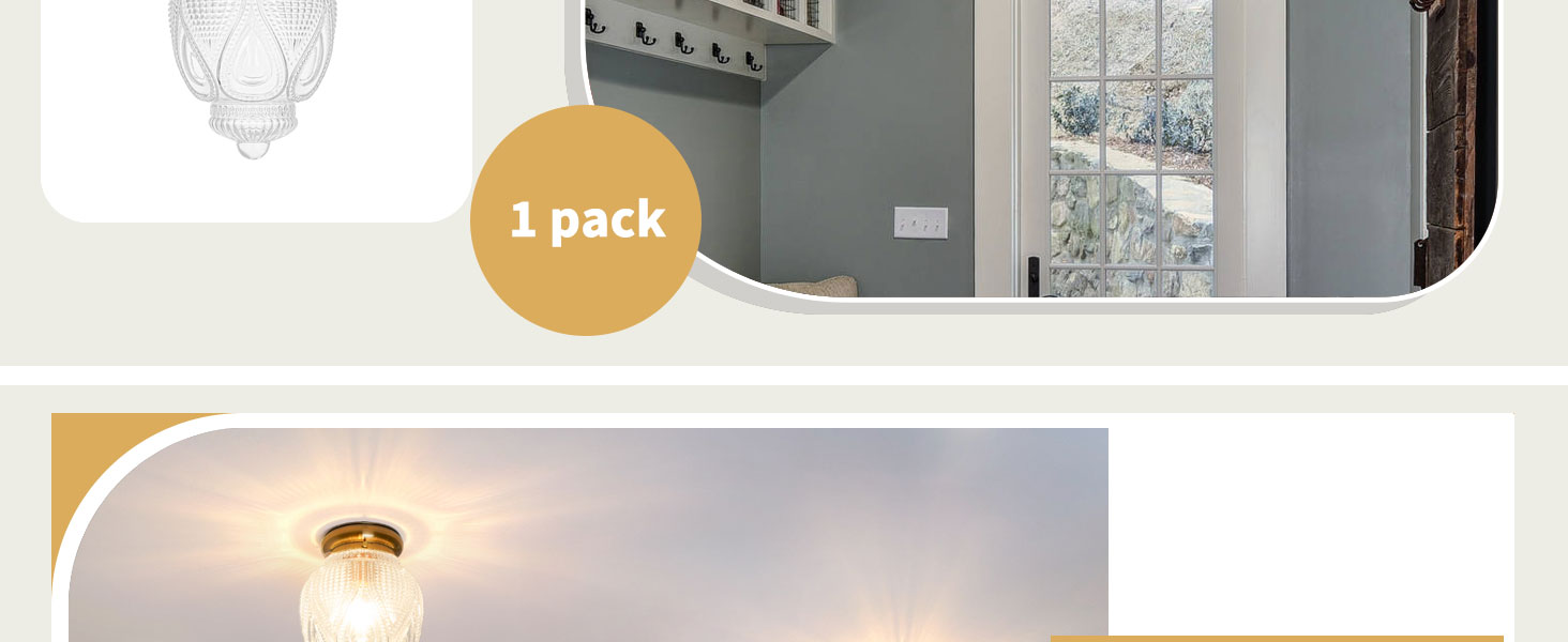 Flush Mount Ceiling Light (2)