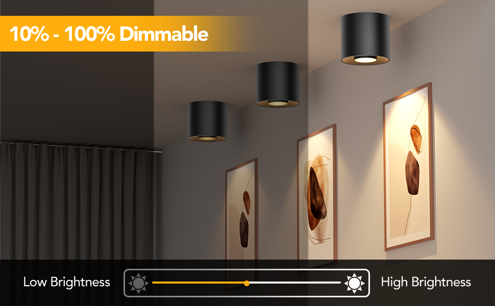 LED Ceiling Spot Lights (4)