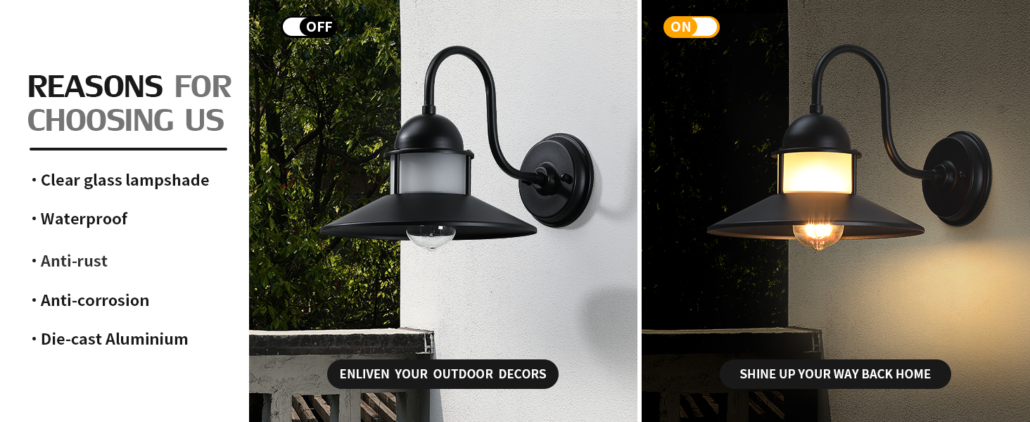 Outdoor Wall Light Fixtures (2)
