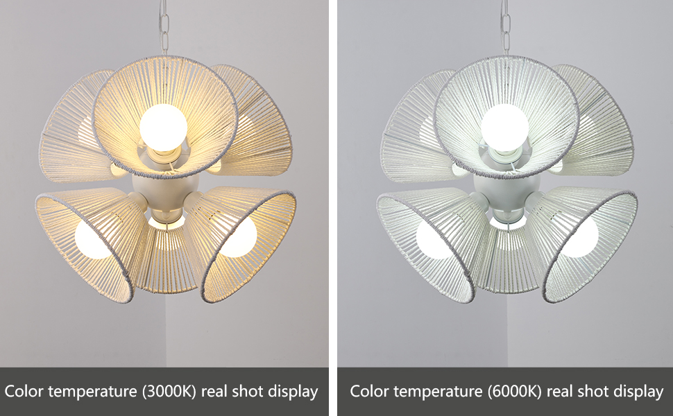 Rattan Chandelier (3)