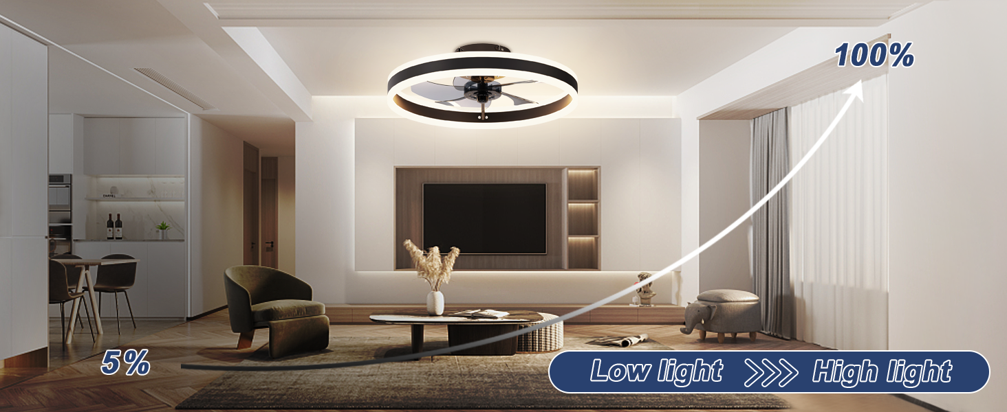 Low Profile Ceiling Fans with Lights (10)