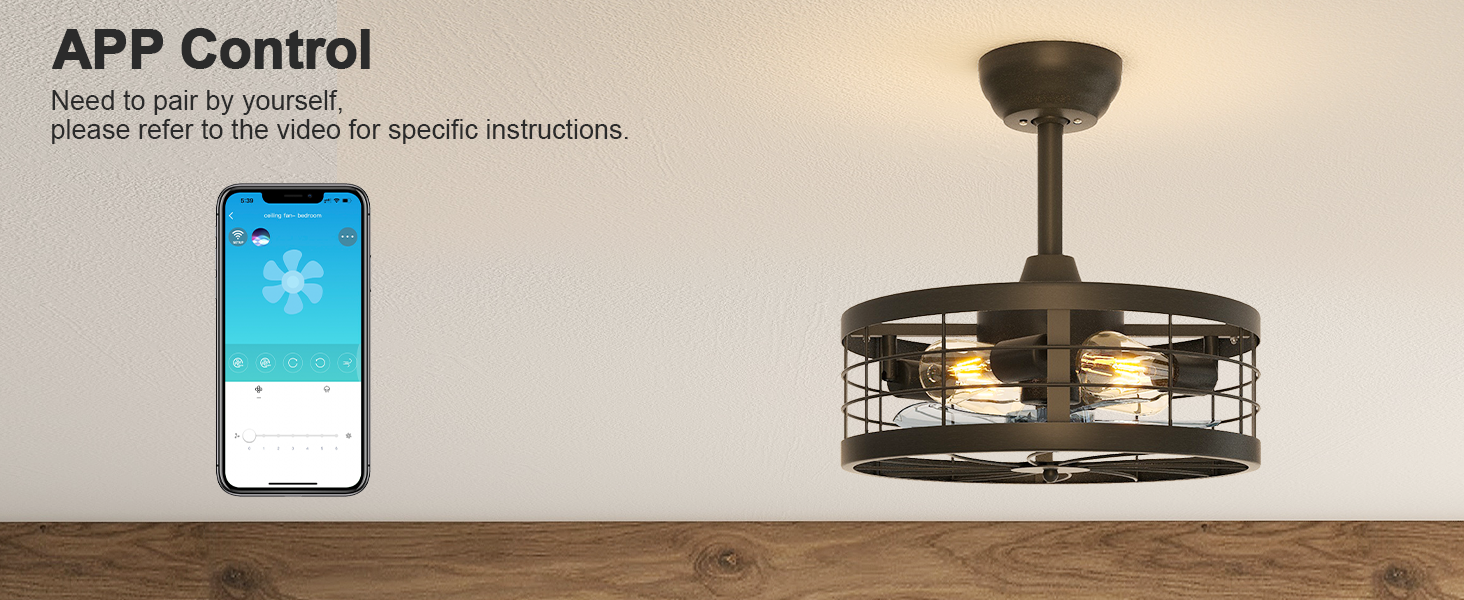 Caged Ceiling Fan with Light (7)