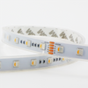 Color Temperature Adjustable LED Commercial Strip Light 5050SMD Chip Household Hot Wholesale Strip Lights