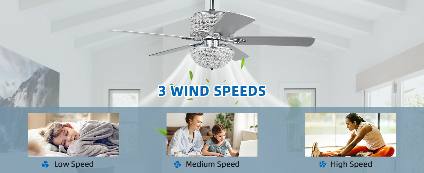 Crystal Ceiling Fan with Lights (20)